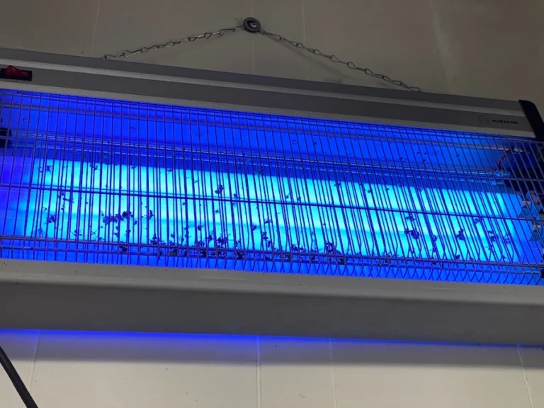 RoHS-Richtlinie: Quecksilberhaltige UV-Lampen in Insektenfallen ab 2027 betroffen
